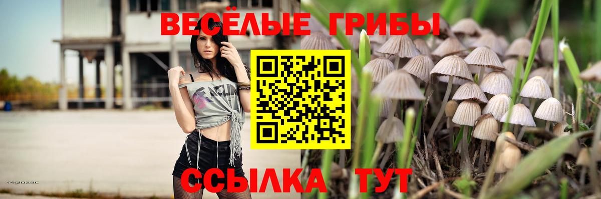 Владимир  Псилоцибиновые грибы Psilocybine cubensis  Галлюциногенные грибы MAGIC MUSHROOMS  Вход с VPN 